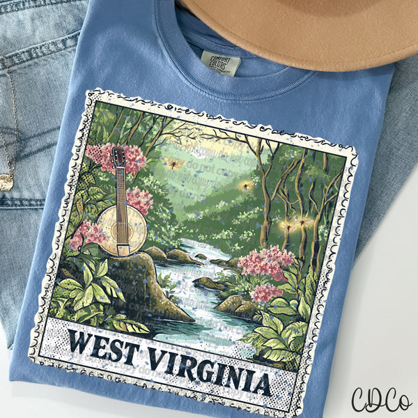 State Stamps Vintage DTF (NC-WV)