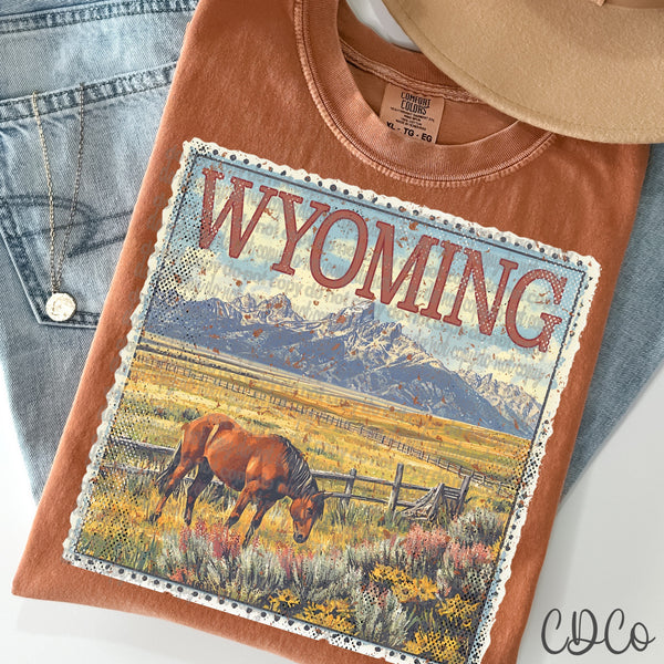 State Stamps Vintage DTF (WI-WY)