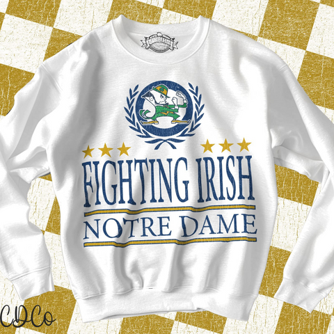 Fighting - 7146 DTF