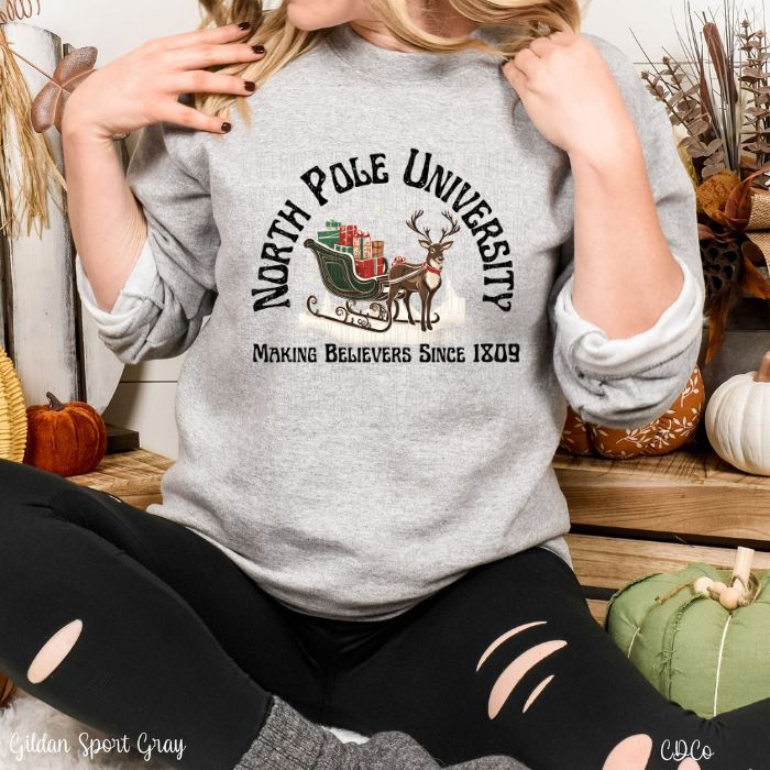 North Pole University DTF