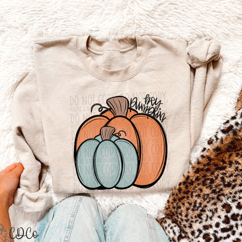 Hey Pumpkin 4741 DTF