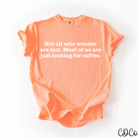 Not All Who Wander -  7776 DTF