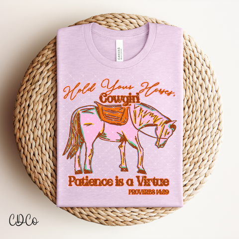 Hold Your Horses Cowgirl 4206 DTF