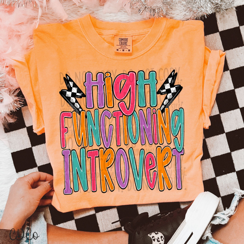 High Functioning Introvert 4753 DTF