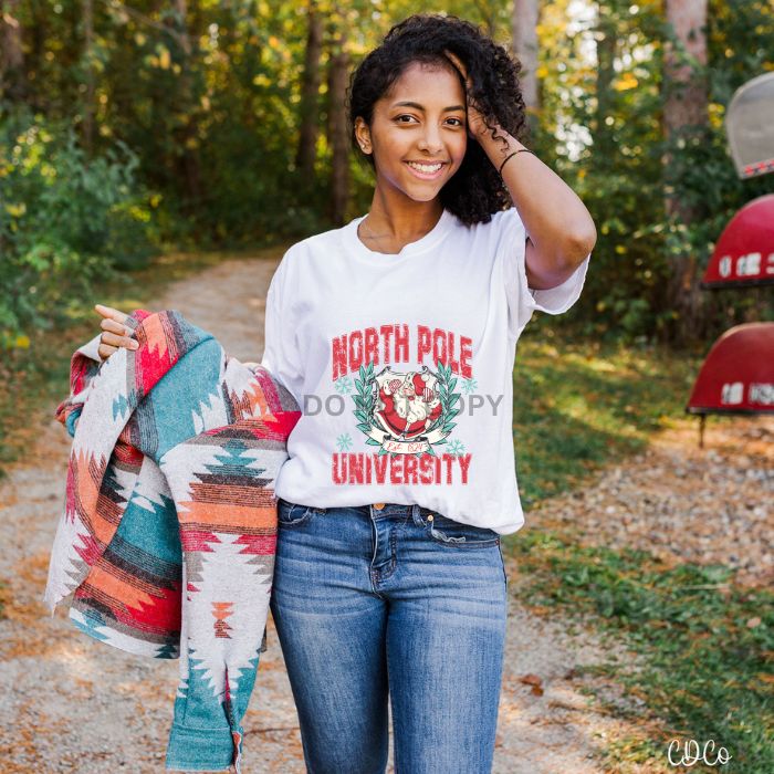 North Pole University  DTF