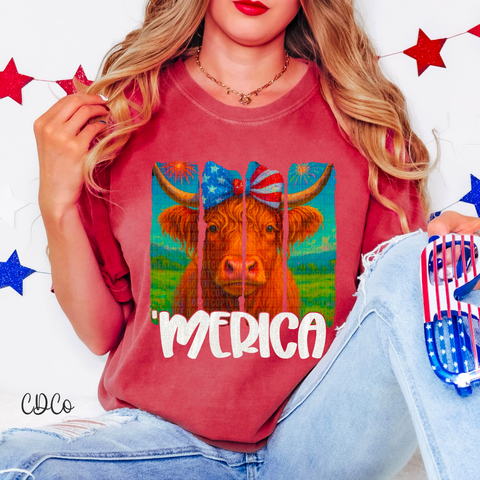 Merica Highland Cow Strokes 4314 DTF