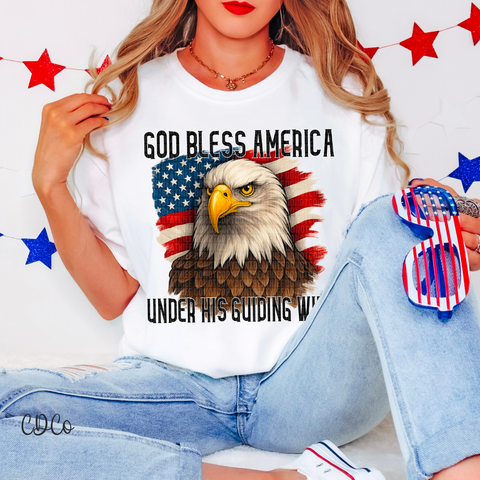 God Bless America 4354 DTF