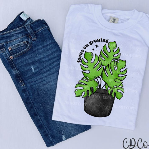 Focus On Growing Monstera DTF