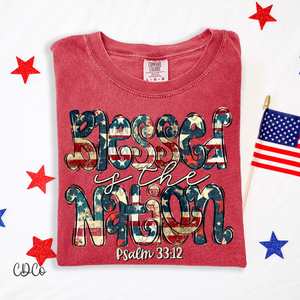 Blessed In The Nation / White 4283 DTF