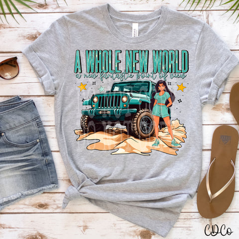 A Whole New World JP Princess 5022 DTF