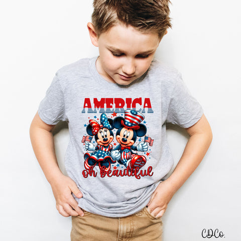 America Oh Beautiful DTF