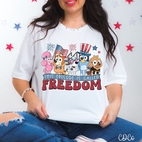 BD Freedom DTF