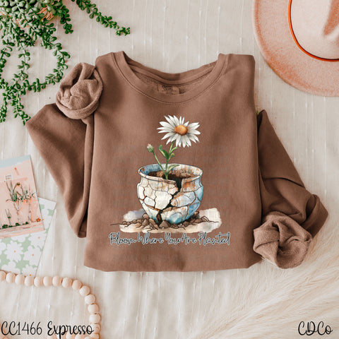 Bloom Where You Are Planted Pot 5806 DTF