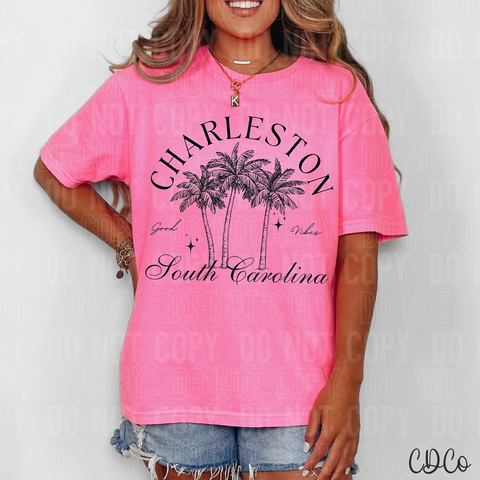 Charleston South Carolina 6153 DTF