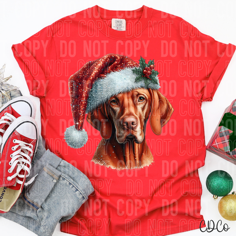 Christmas Vizsla Dog 3174 DTF