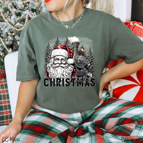 Santa Train Christmas The Most Wonderful DTF