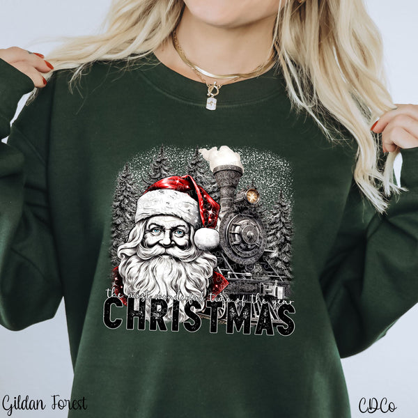 Santa Train Christmas The Most Wonderful DTF