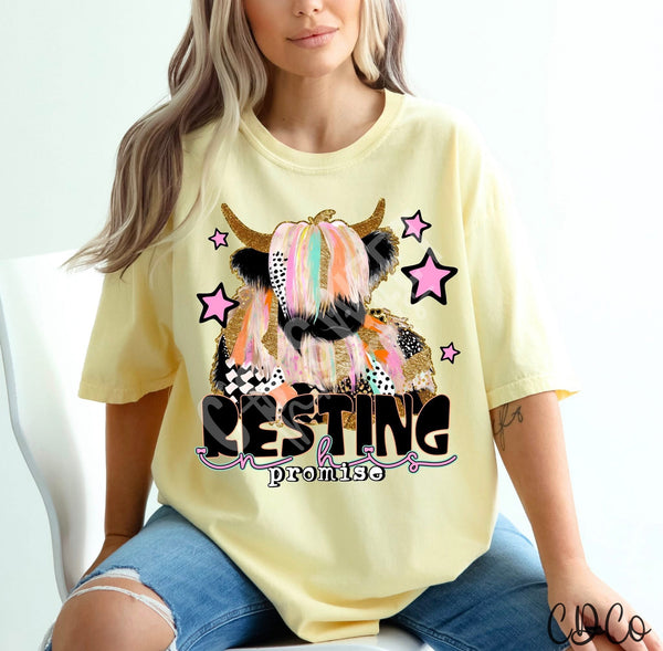 Resting In His Promise Highland Cow 10506 DTF - Chase Design Co.