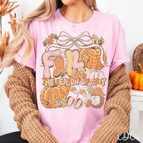 Fall The Season of Cozy 6464 DTF