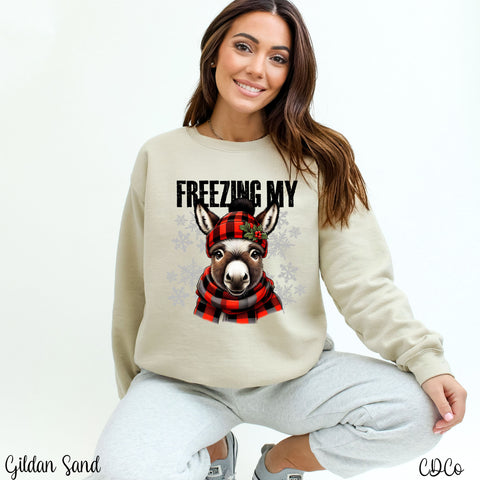 Freezing My Ass DTF