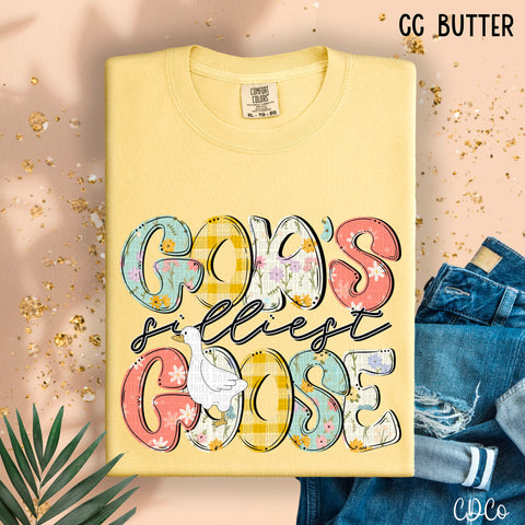 God's Silliest Goose 5012 DTF