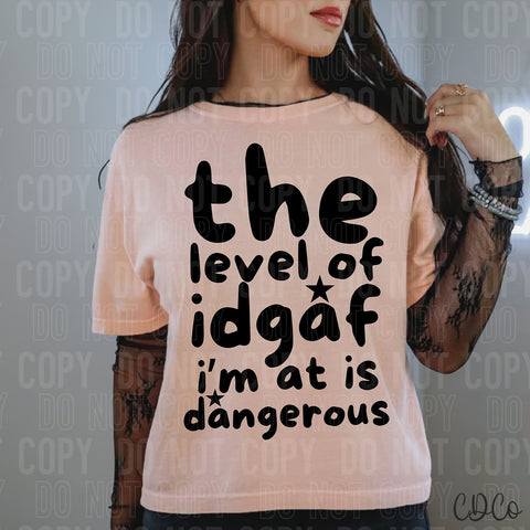 The Level Of Idgaf I'm At Is Dangerous 3514 DTF