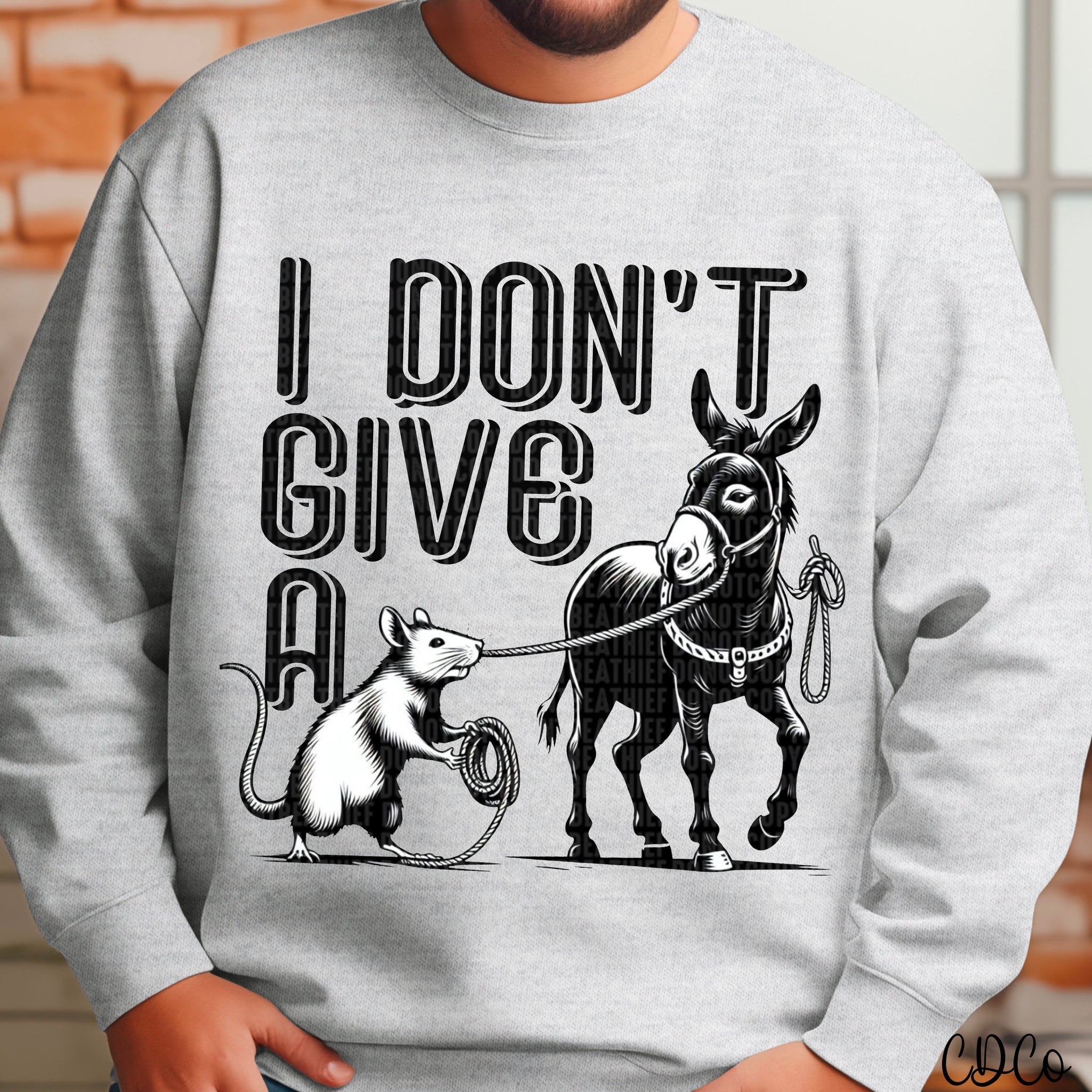 I Don't Give a Rats Ass 2858 DTF