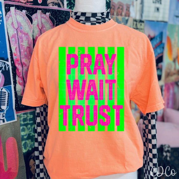 Pray Trust Wait - 9619 DTF - Chase Design Co.