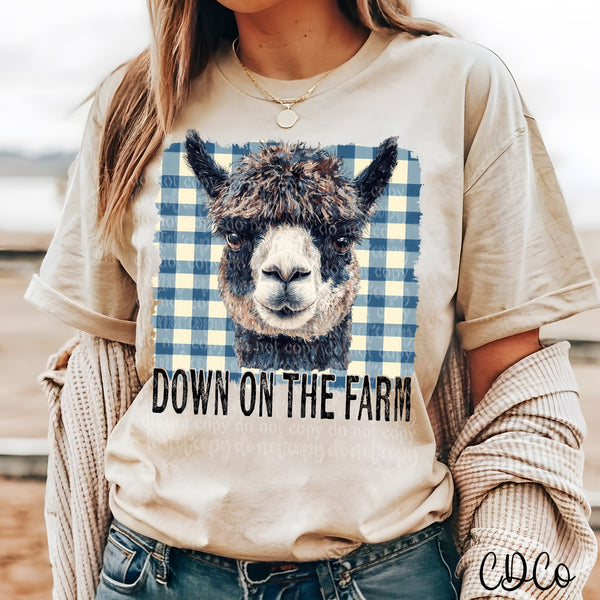 Down on the Farm DTF