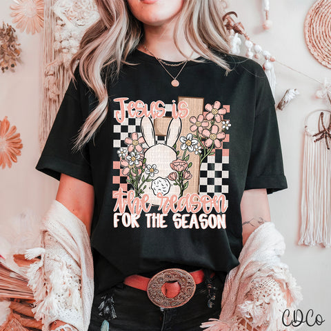 Jesus Reason For Season Easter 3734 DTF