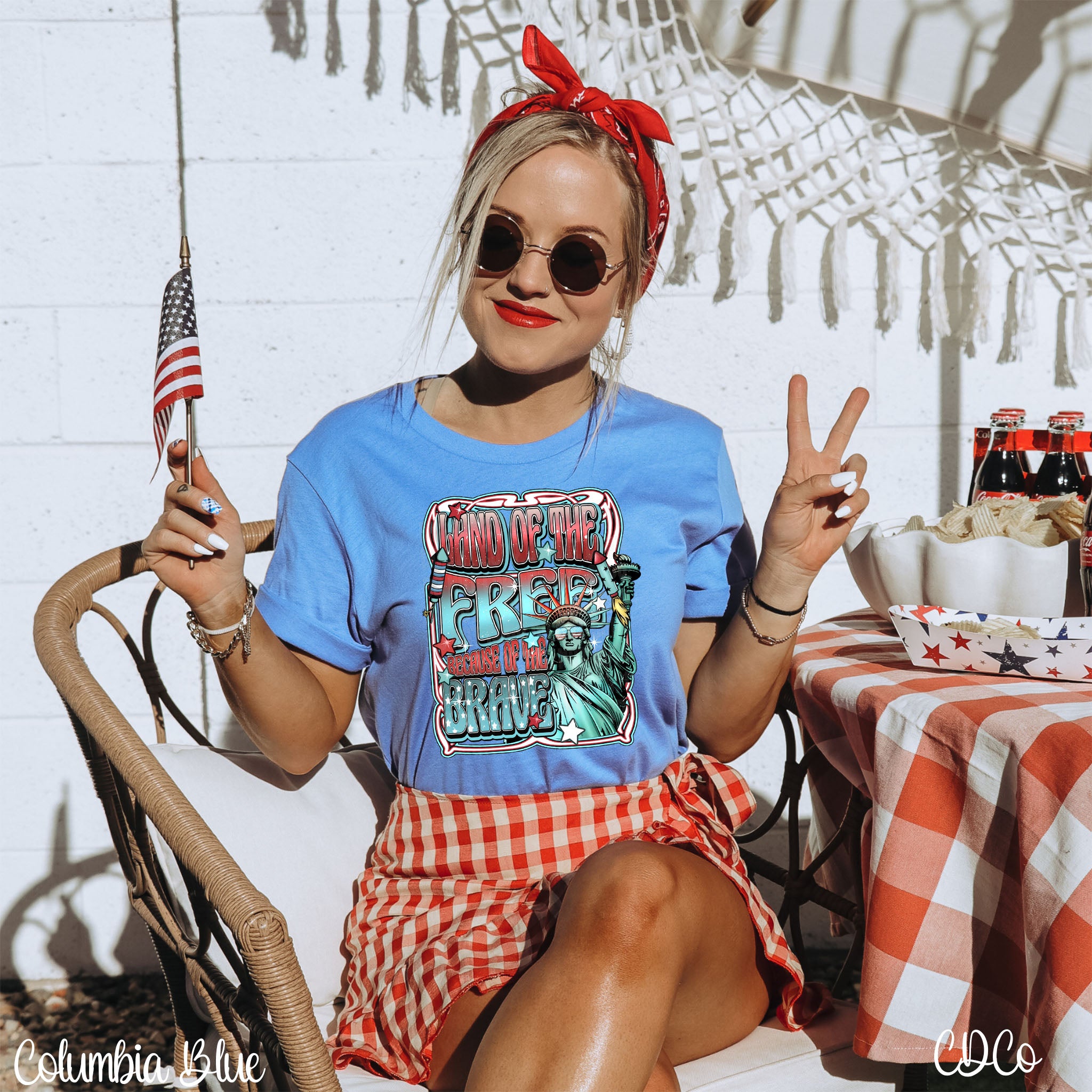Retro Land of the Free SOL DTF