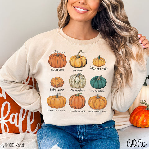 Pumpkin Names Grid DTF