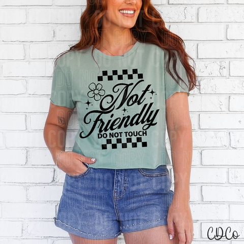 Not Friendly Do Not Touch 6265 DTF