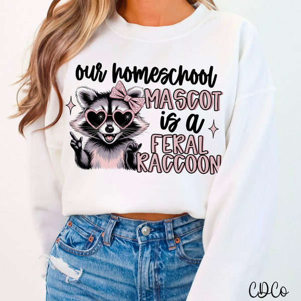 Our Homeschool Mascot is a Raccoon DTF