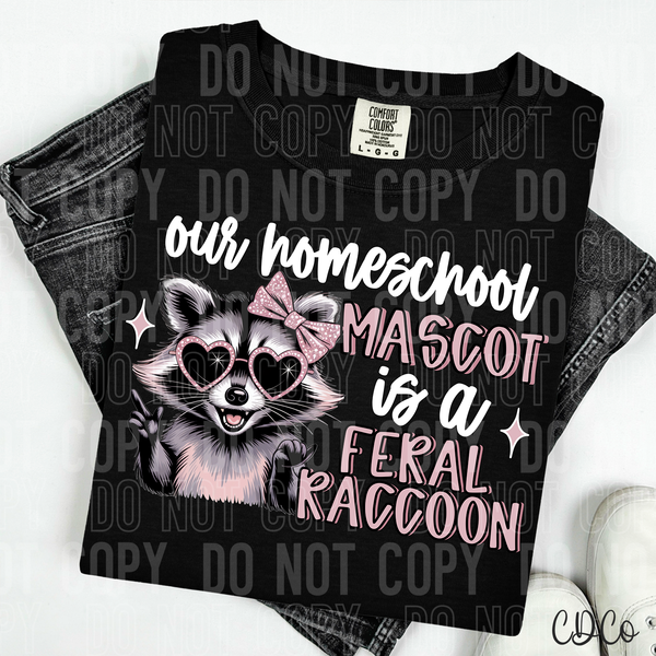 Our Homeschool Mascot is a Raccoon DTF