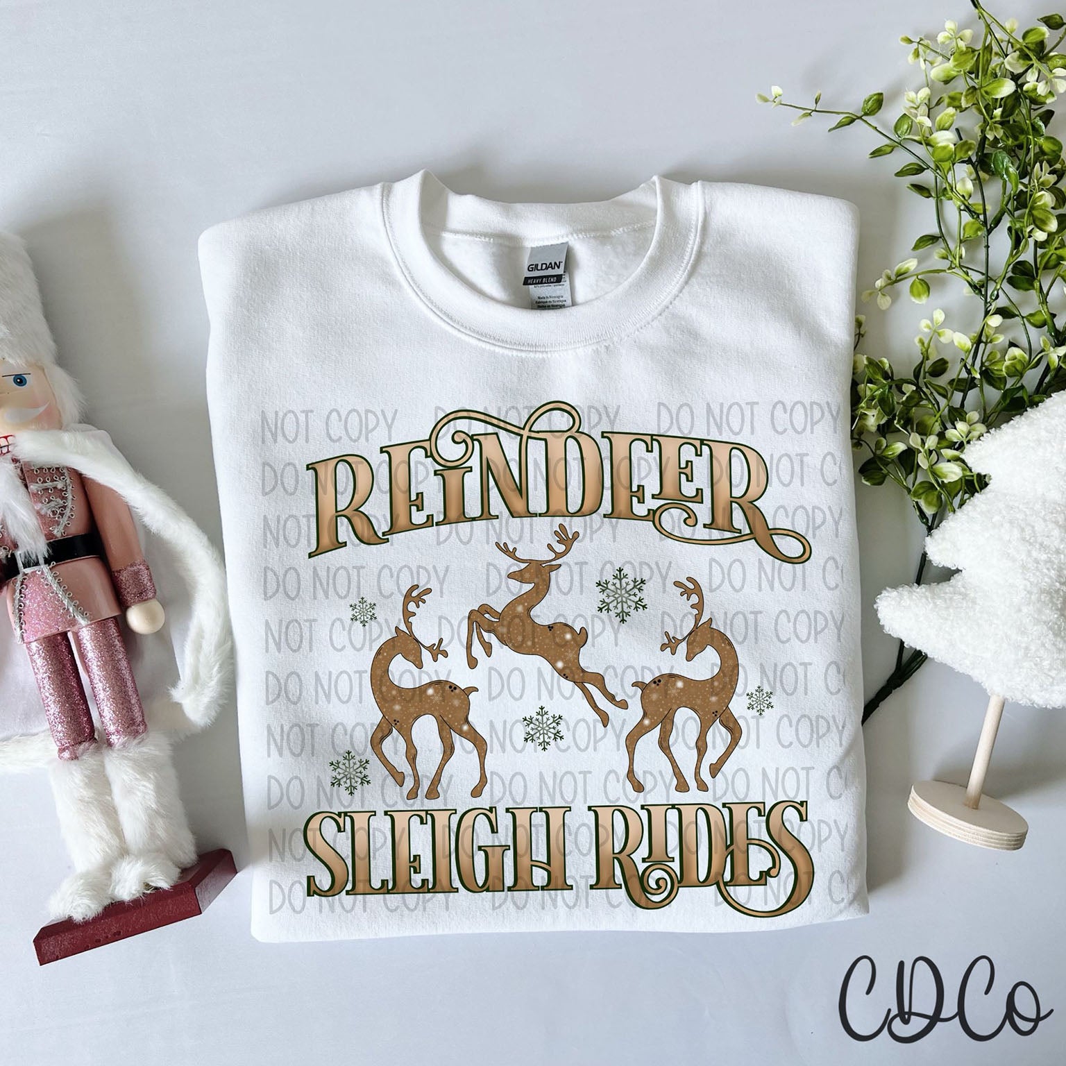 Reindeer Sleigh Rides DTF