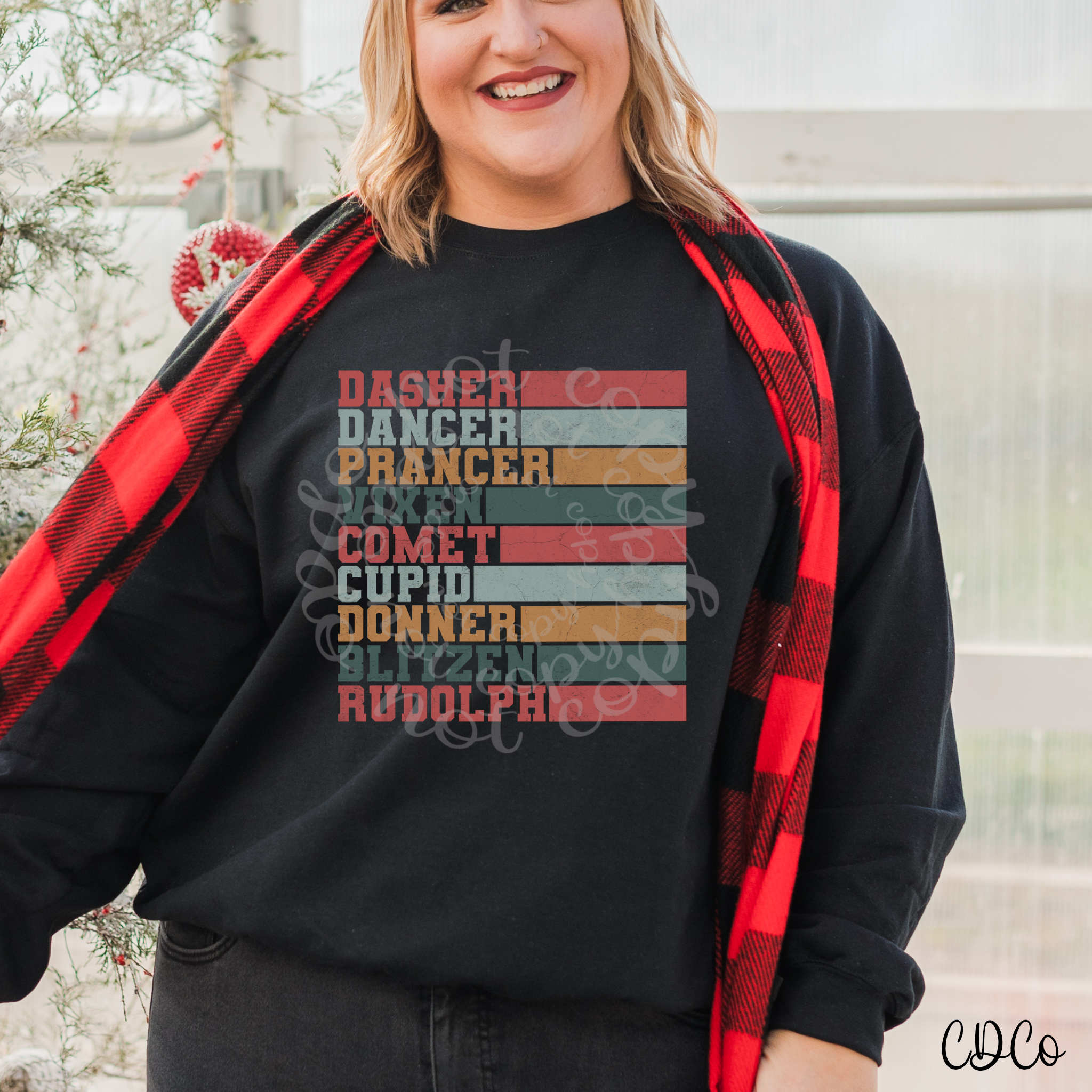 Retro Reindeer Names DTF