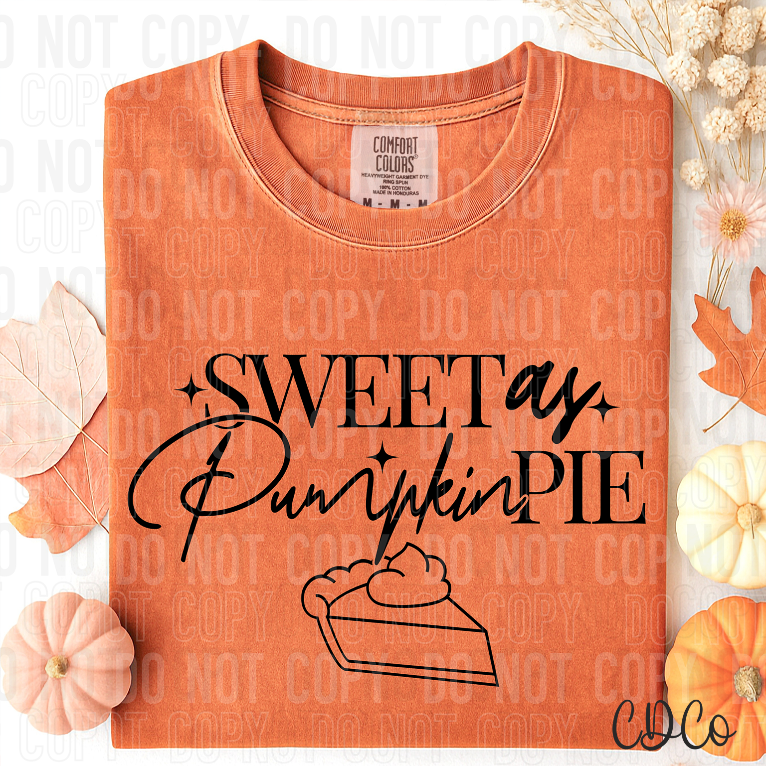 Sweet As Pumpkin Pie DTF
