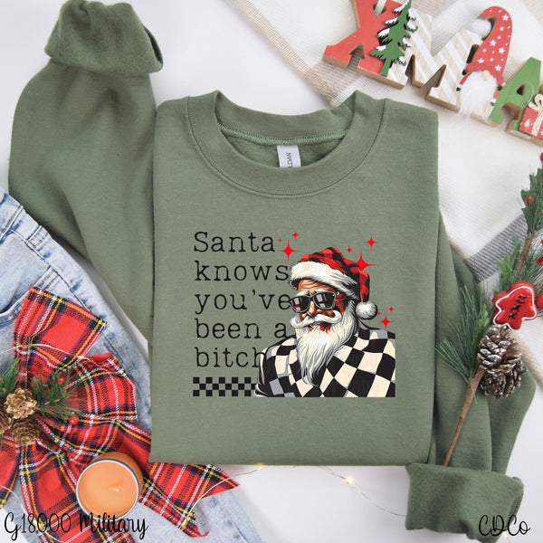 Santa Knows You've Been a Bitch DTF