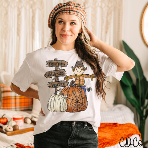 Scarecrow Pumpkins Hayrides Bonfire DTF