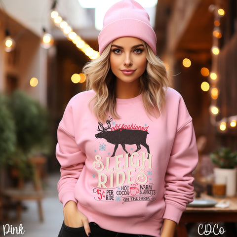 Old Fashioned Sleigh Rides DTF