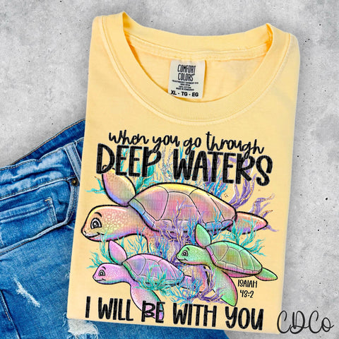 When You Go Through Deep Waters I Will Be With You DTF