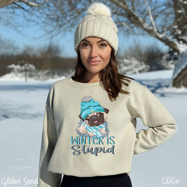 Winter is Stupid Dog 2349 DTF
