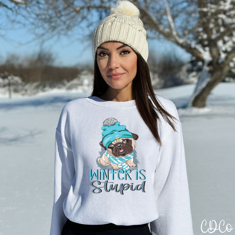 Winter is Stupid Dog 2349 DTF