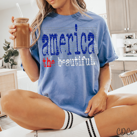 America The Beautiful Type 6127 DTF