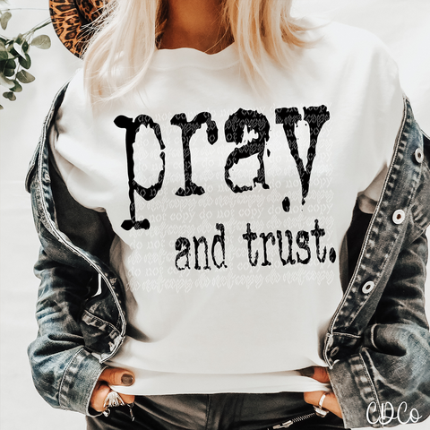 Pray and Trust 3952 DTF