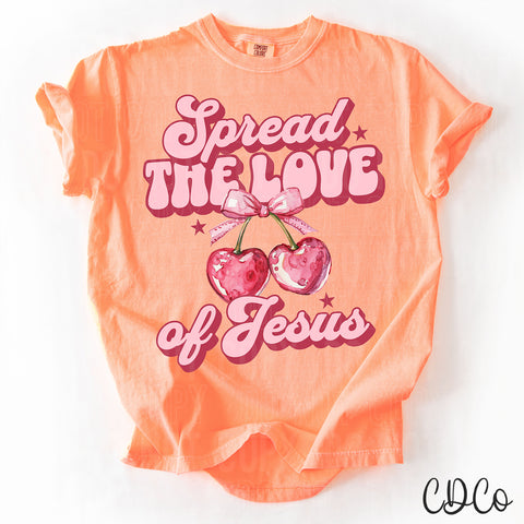Spread The Love Of Jesus 3724 DTF