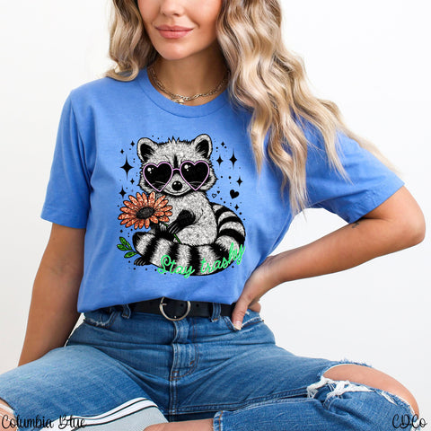 Stay Trashy Raccoon DTF
