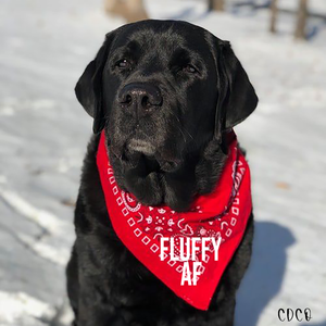 Fluffy AF Pet Bandana/Shirt (325°)