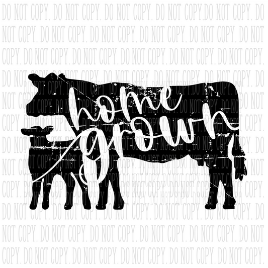 Home Grown Cows - Digital Download